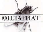 Десятая часть диссертаций по истории является плагиатом Десятая часть диссертаций по истории является плагиатом