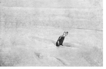   .    .  1941. /, 1942